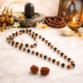 Divya Suaksha Rudraksha + Karungali Mala (Silver Capping) | Amulyah