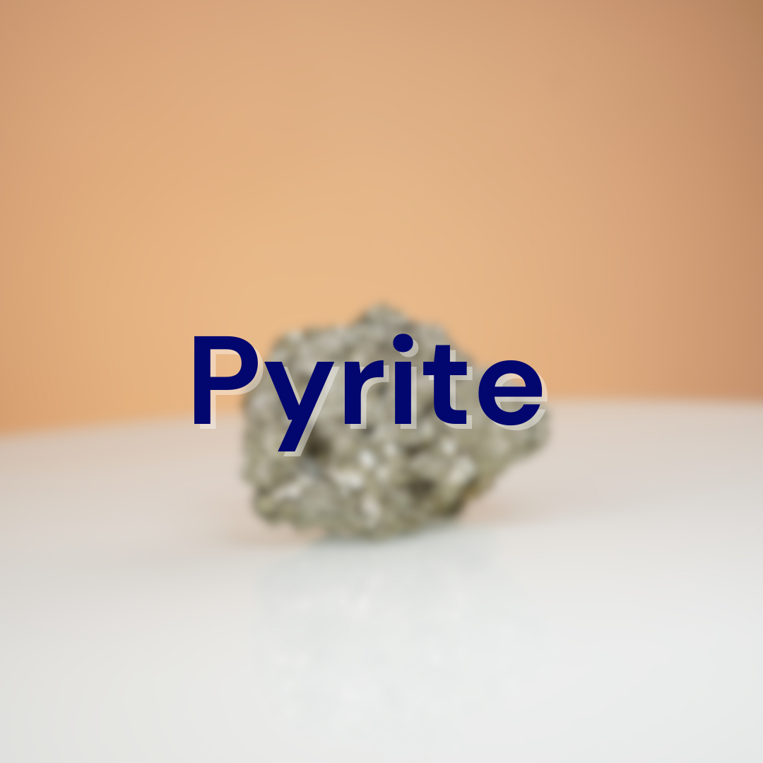 Profit Magnet Business Kit
