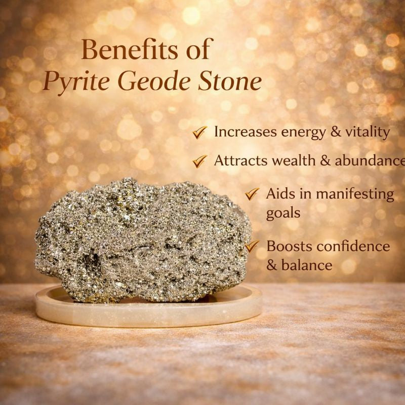 Profit Magnet Business Kit