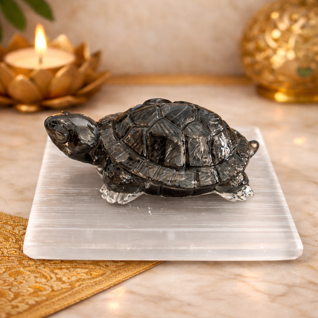 Pyrite Money Magnet Turtle