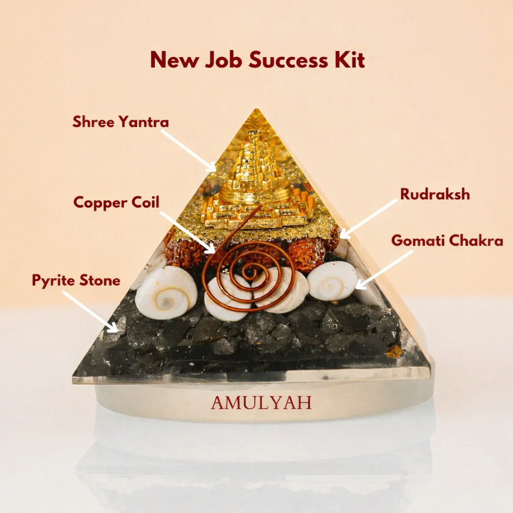 New Job Sucess Kit