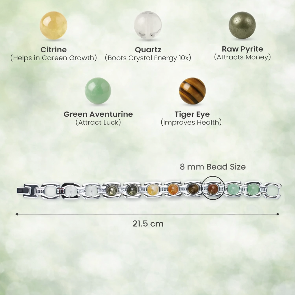 Dhan Prapti Bracelet (Stainless Steel)