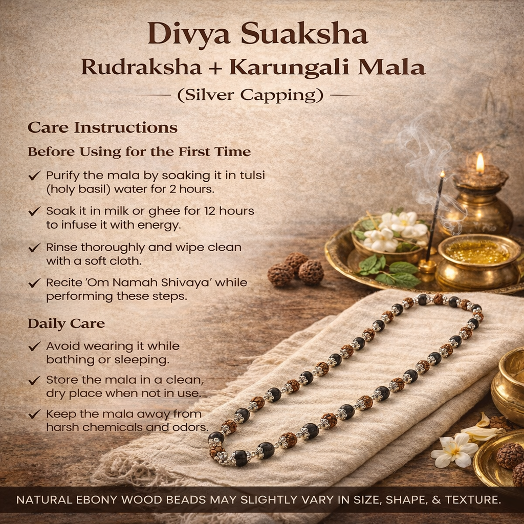 Divya Suaksha Rudraksha + Karungali Mala (Silver Capping) | Amulyah