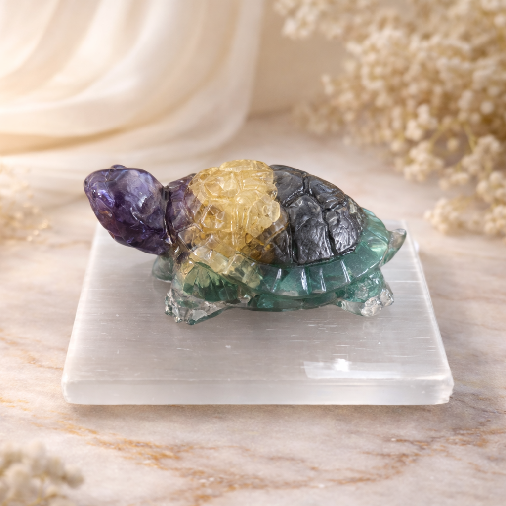 Dhan Prapti Turtle