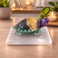 Dhan Prapti Turtle