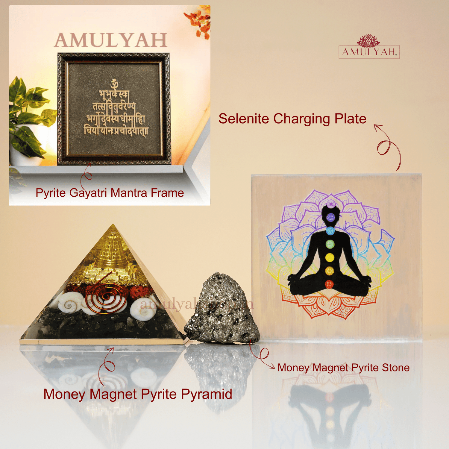All In One Money Magnet Booster Combo