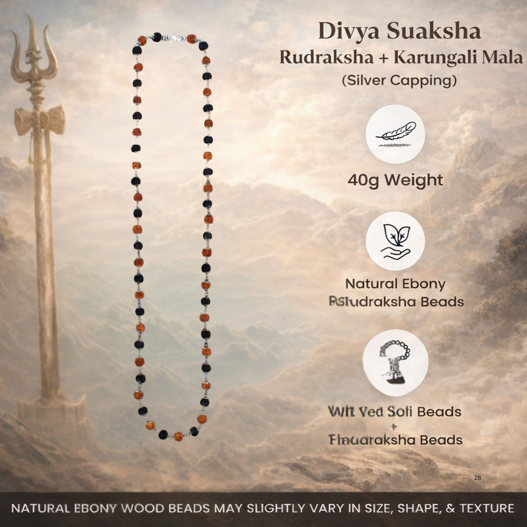 Divya Suaksha Rudraksha + Karungali Mala (Silver Capping) | Amulyah