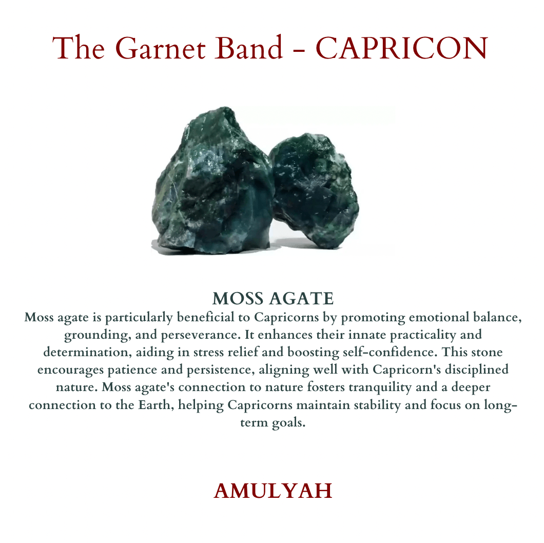 The Harmony Band - for CAPRICORN