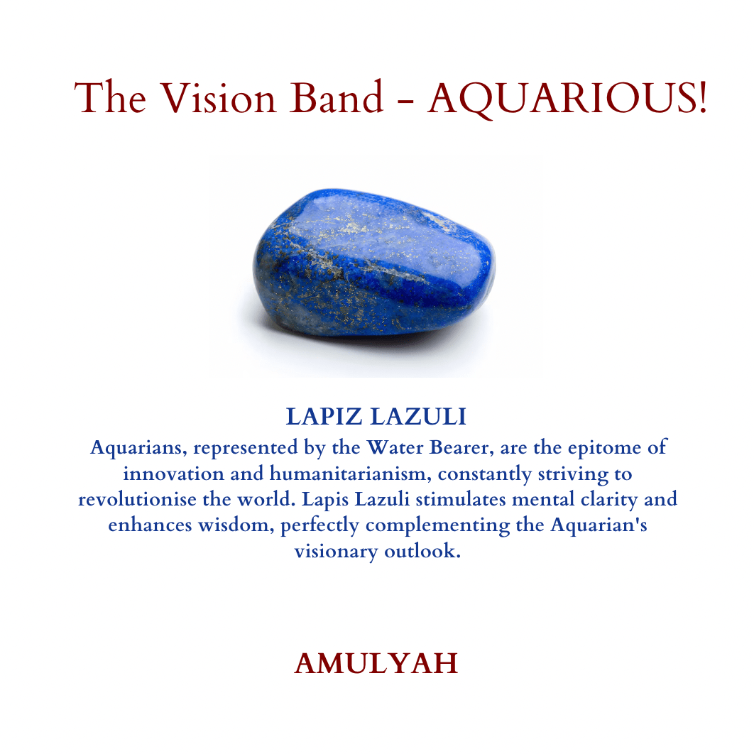 The Vision Band - for AQUARIOUS